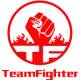 Логотип Team Fighter