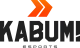 Логотип KaBuM! Esports