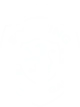 Логотип Sporting CP Esports