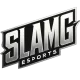 Логотип SLAMG