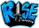 Логотип Rise Esports