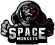 Логотип Space Monkeys