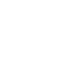 Логотип Renatus