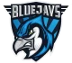 Логотип BLUEJAYS International