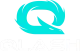 Логотип QLASH