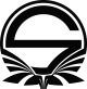 Логотип Team Singularity