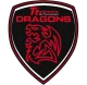 Логотип Tt.Dragons