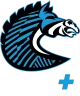 Логотип BS+COMPETITION