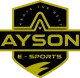 Логотип AYSON E-Sports