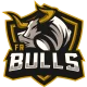 Логотип FR Bulls