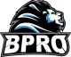 Логотип BPro Gaming