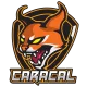 Логотип Team Caracal