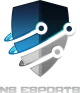Логотип No Style Esports