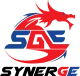 Логотип SynerGE