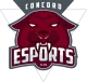 Логотип Concord University
