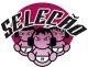 Логотип Seleção
