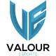 Логотип Valour Esports