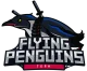 Логотип Flying Penguins