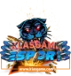 Логотип Klas Game Esports