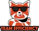 Логотип Team Efficiency