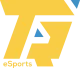 Логотип Twareg Esports