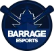 Логотип Barrage Esports