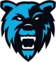 Логотип Hc eSports