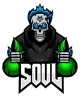 Логотип Team SouL