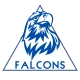 Логотип Falcons