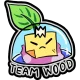 Логотип Team Wood
