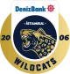 Логотип İstanbul Wildcats