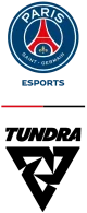 Логотип PSG TUNDRA