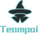 Логотип TeamPai
