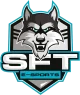 Логотип SFTe-sports