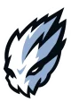 Логотип Team Fiend
