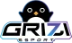 Логотип Grizi Esport
