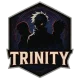 Логотип Trinity