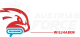 Логотип Austrian Force