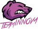 Логотип Team Innova