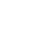 Логотип Team Orchid