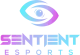 Логотип Sentient Esports