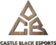 Логотип Castle Black Esports