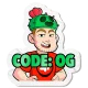 Логотип Code OG