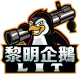 Логотип LIT Team