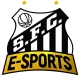 Логотип Santos e-Sports