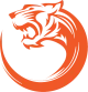 Логотип TNC Tigers