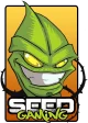 Логотип SEED Gaming