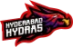 Логотип Hyderabad Hydras