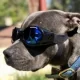 Логотип Doggles Esports
