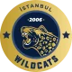 Логотип İstanbul Wildcats